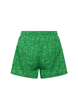 Verdana Swim Shorts